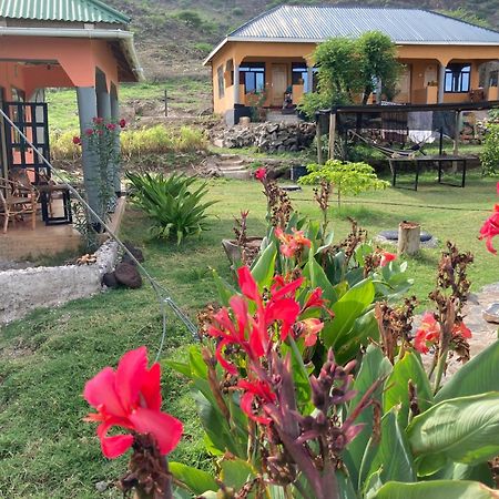 Lake Natron Maasai Guesthouse Mtowabaga Bagian luar foto