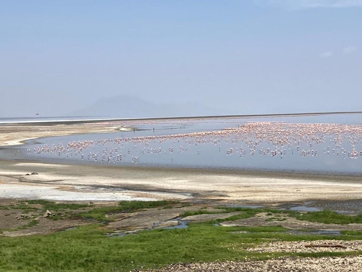 Lake Natron Maasai Guesthouse Mtowabaga Bagian luar foto