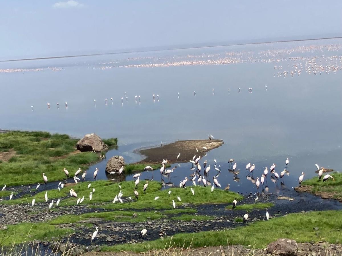 Lake Natron Maasai Guesthouse Mtowabaga Bagian luar foto