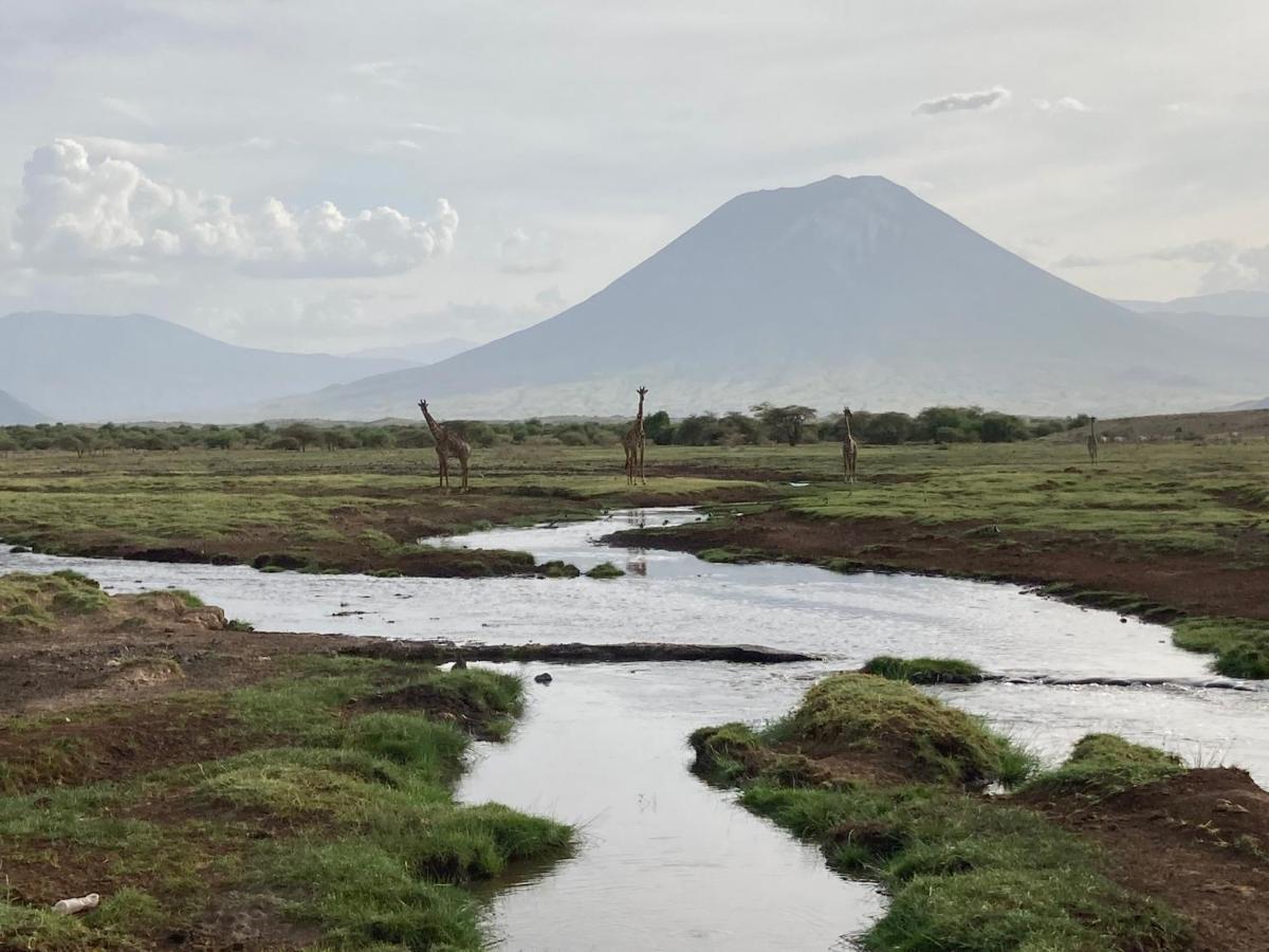 Lake Natron Maasai Guesthouse Mtowabaga Bagian luar foto