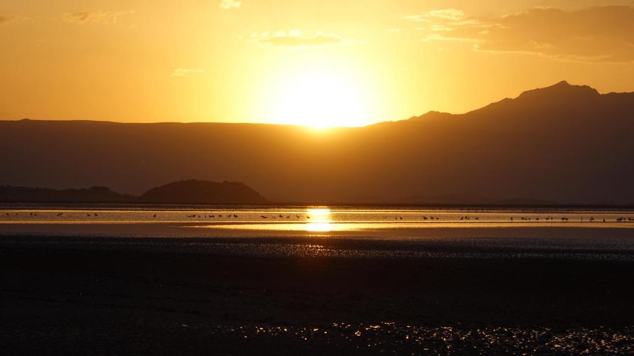 Lake Natron Maasai Guesthouse Mtowabaga Bagian luar foto